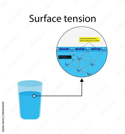Surface Tension Of Water Pas