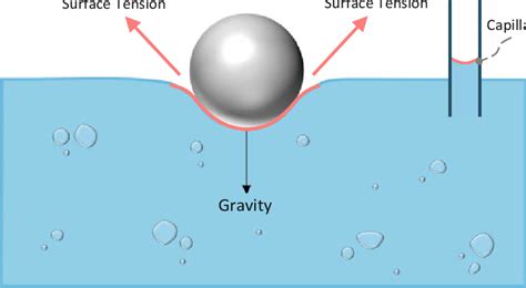Surface Tension Practical Examples