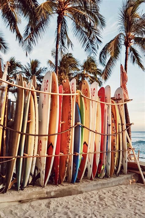 surfboards on a beach