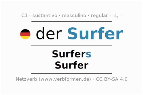 Surfer Meaning Plural
