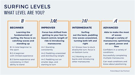 surfing levels beginner intermediate advanced