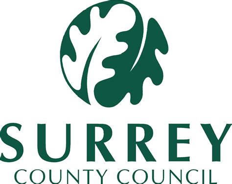 surrey cc blue badge