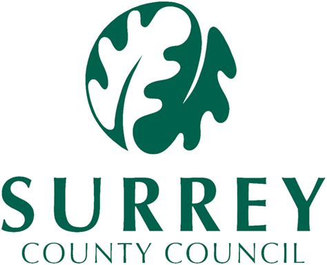 surrey county council care services