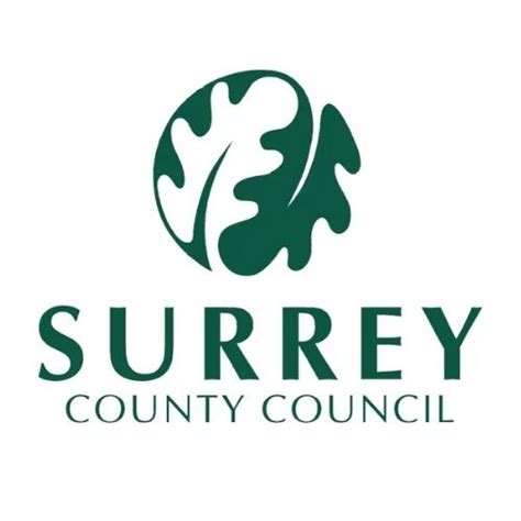 surrey county council funding rates