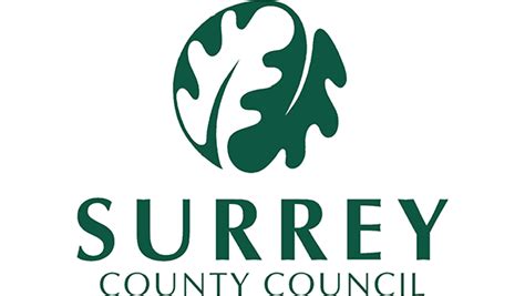 surrey county council local area coordinator