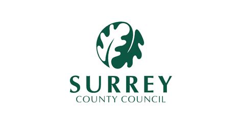 surrey county council structure