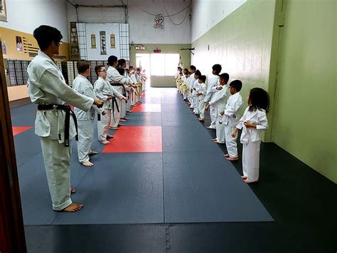 surrey martial arts academy