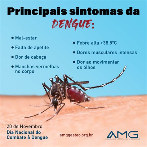 surto de dengue sintomas