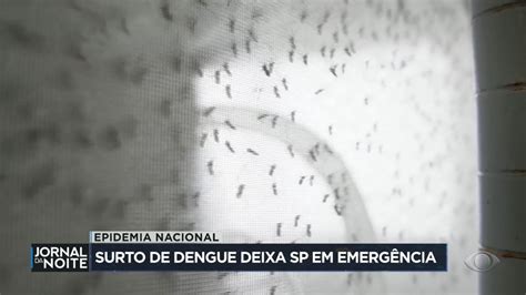 surto de dengue sp