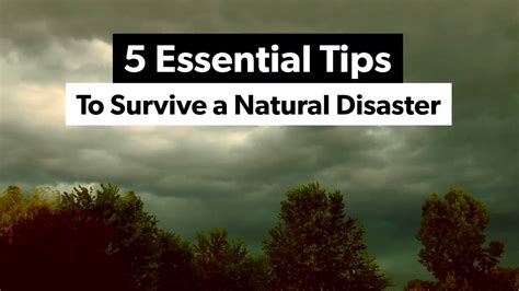 survive natural disasters tips
