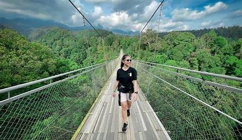 Suspension Bridge Sukabumi 5 Fakta Unik Situ Gunung Terpanjang Di Indonesia
