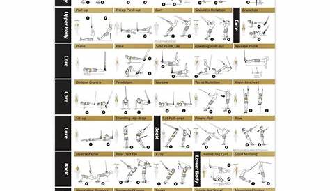 Suspension Training Poster Eazy How To Cables Exercise Workout TRX