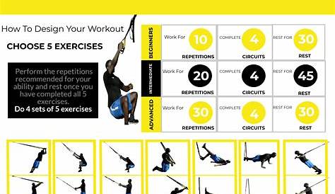 Trx Workout Routine For Beginners Pdf Suspension