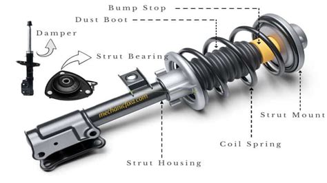 Suspension And Struts