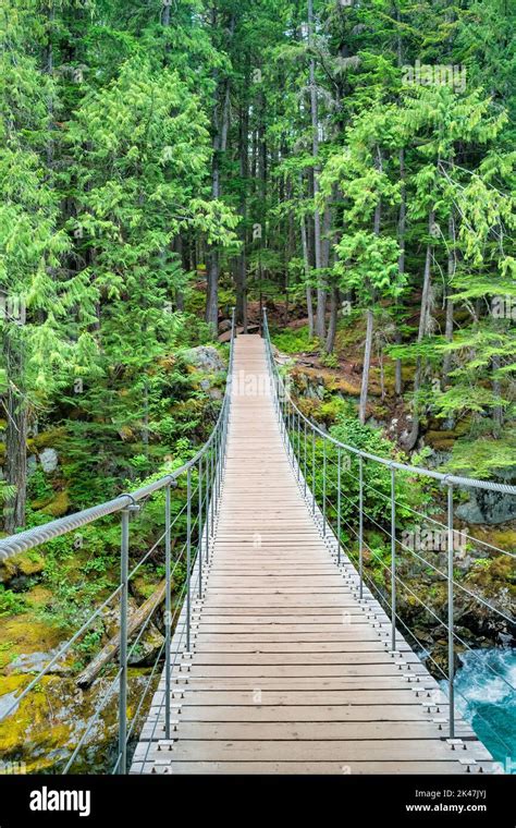 Suspension Bridge Bc Canada