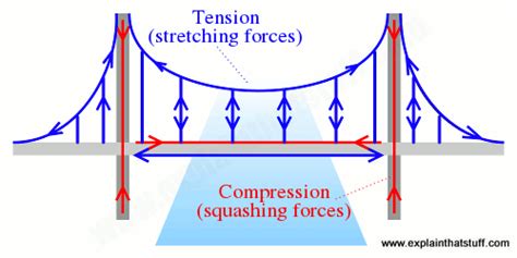 suspension bridge reaction force
