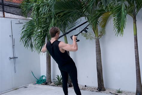 Suspension Trainer Tree