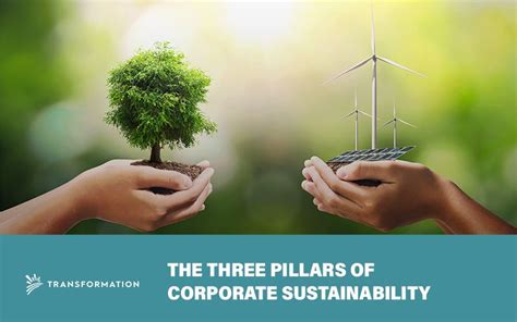 Sustainability In Business Perspective