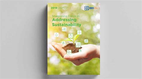 Sustainability Report Bri: A Step Towards A Sustainable Future