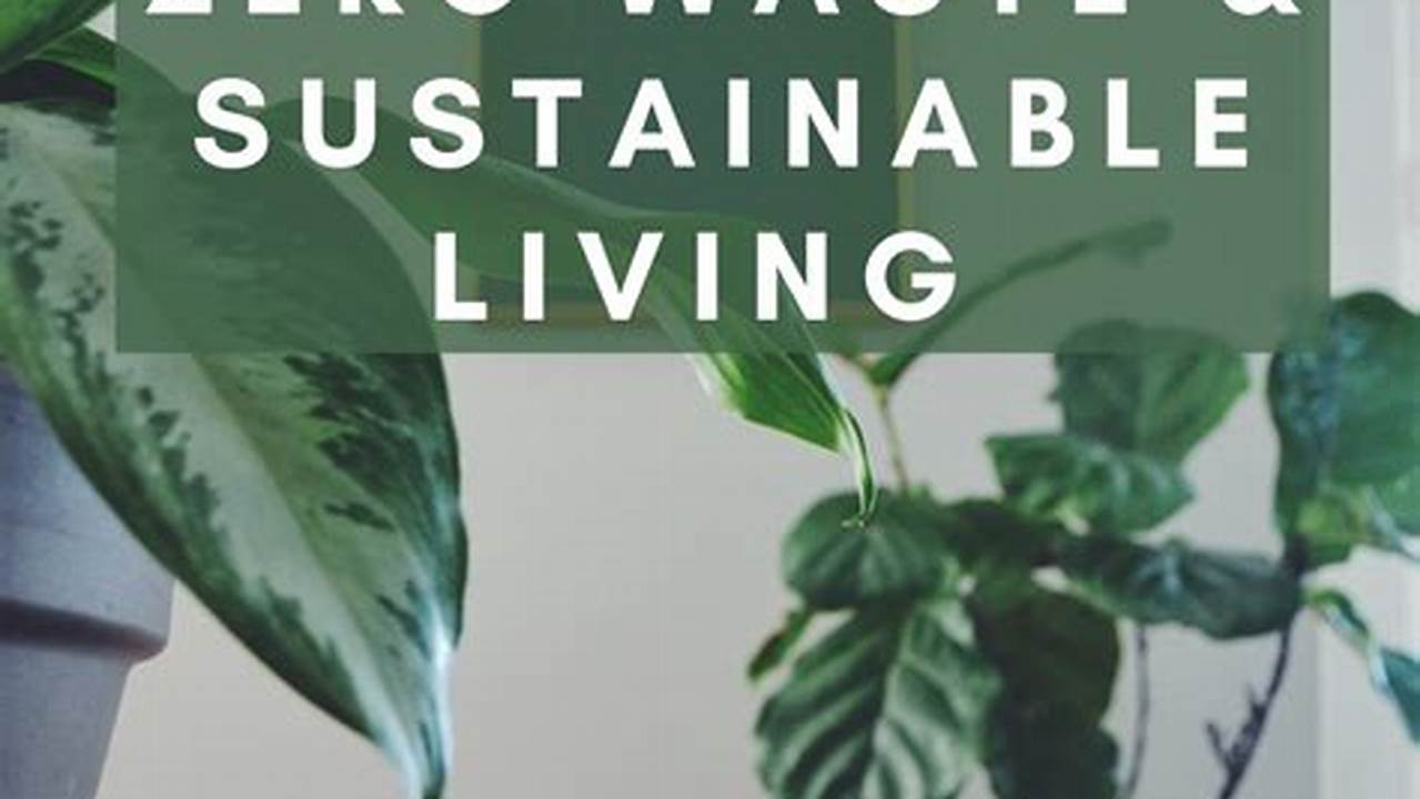 10 Sustainable Lifestyle Books to Inspire Your Journey