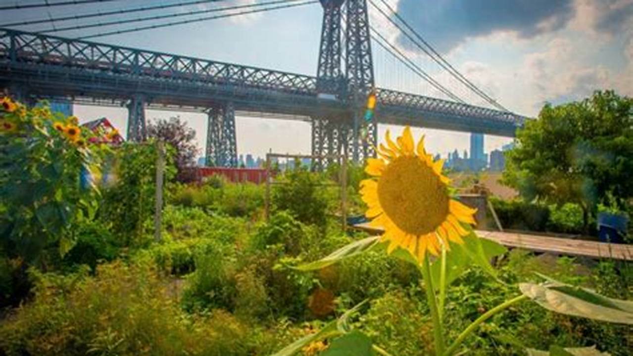 Unveiling the Secrets of Sustainable Living in NYC: A Journey to a Greener, Healthier City