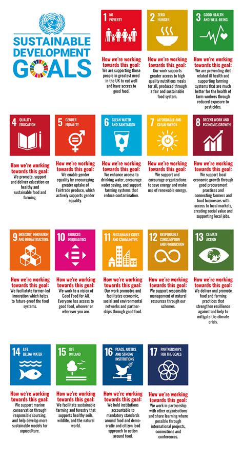 sustainable development goal sdg of the un