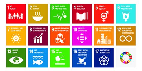 sustainable development goals of the un