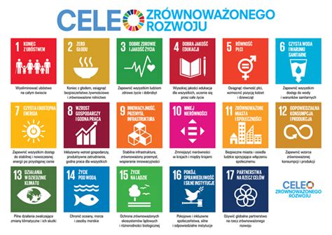 sustainable development goals po polsku