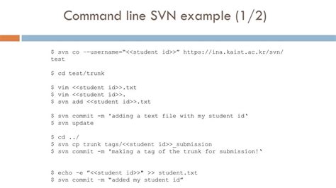 svn commit example
