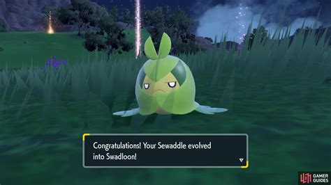 Swadloon Evolution Pokemon White