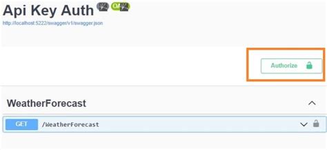 swagger api key authorization c#
