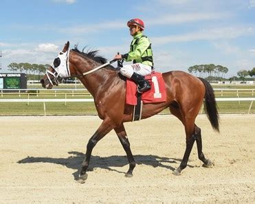 Swagger Jagger Horse