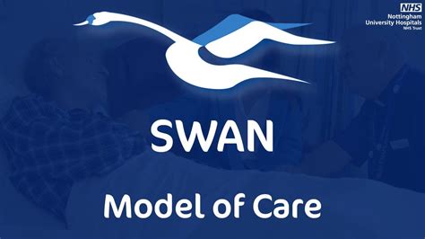 swan model of care liverpool