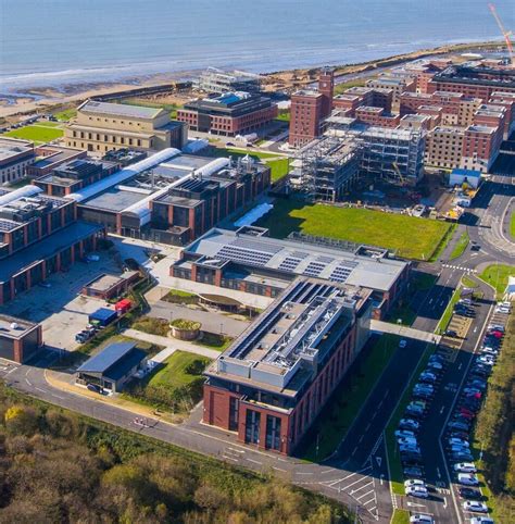 swansea university