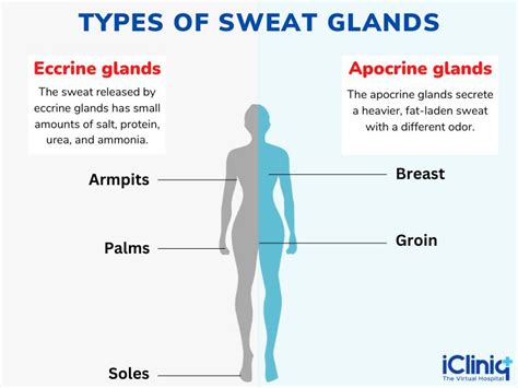 Unlocking the Benefits of Sweating for a Healthier Body: Understanding the Science Behind Sweat - An SEO title for sweat body.