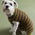 sweater for dogs knitting patterns