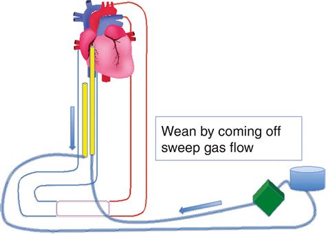 Sweep Gas Definition