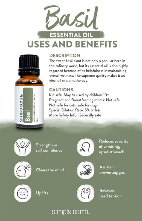 Sweet Basil Essential Oil Usage