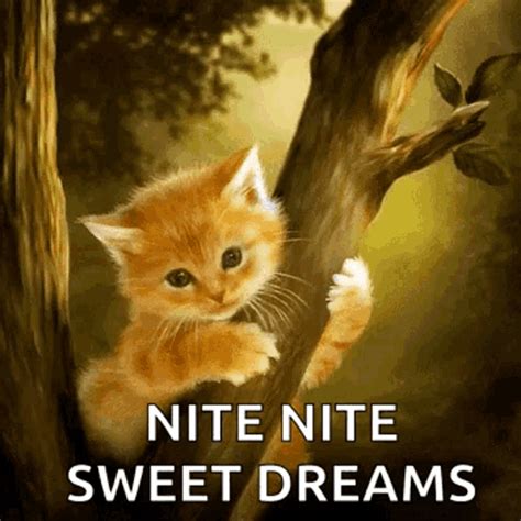 good night everyone sweet dreams gif myedit lin...