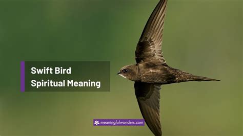 swift meaning in text