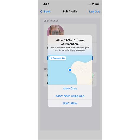 swiftui get location permission