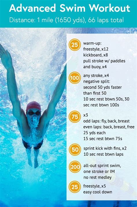 swim daily top 50