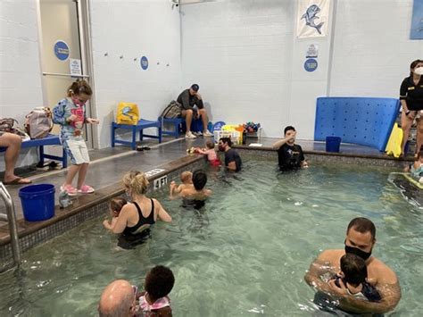 swim lessons coral gables