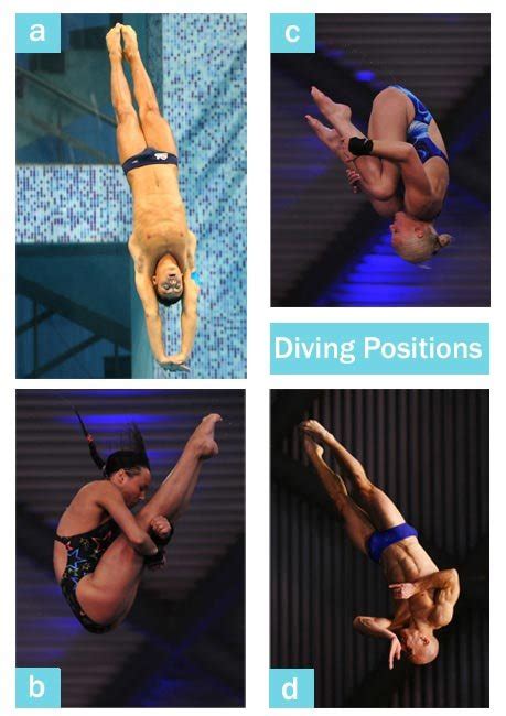 Swimming Diving Positions