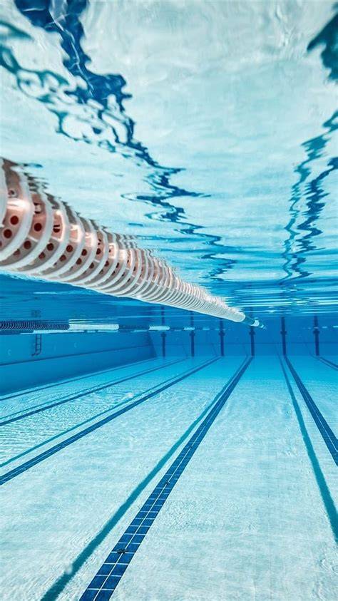 Swimming Alone iPhone X Wallpapers Free Download