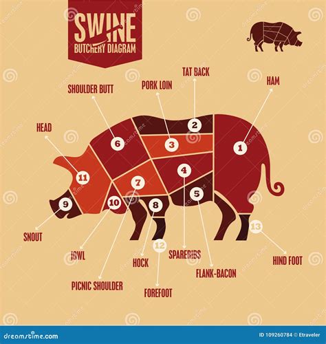 Swine Meat Cuts
