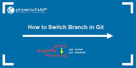 Switch Branch Definition