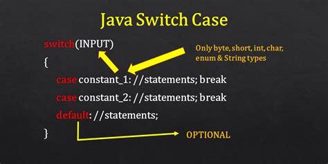 switch case in java meaning
