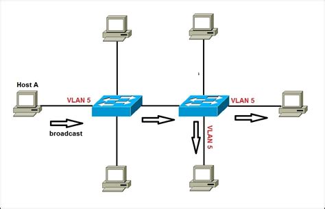 Switch Ethernet Vlan