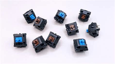 Switches Blue Vs Brown